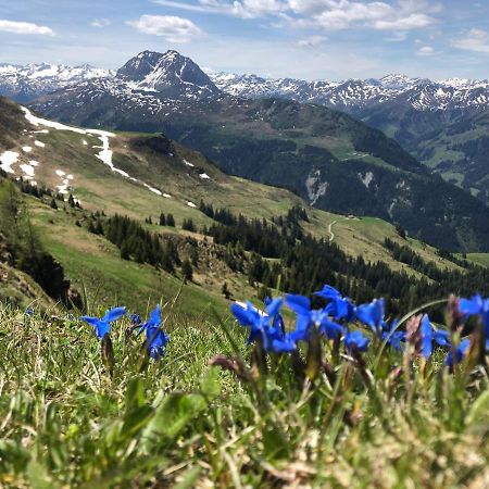 Sonnenschein Appartement Rebecca Kirchberg in Tirol Exterior foto